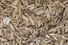 biomass boilers Langage